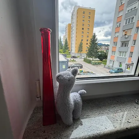 Cozy Little تْسيلْيي